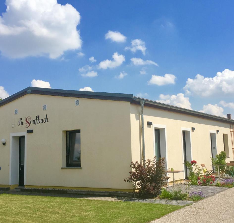 Die Senfbude - Klein Aber Fein - Wunderschoenes Studio-Apartment Mit Terrasse Und Stellplatz لبسيا المظهر الخارجي الصورة